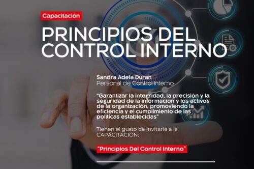 PRINCIPIOS DE CONTROL INTERNO